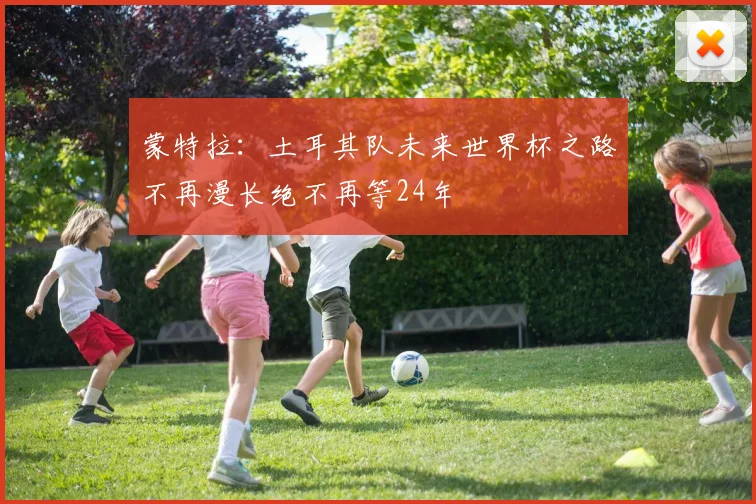 蒙特拉：土耳其队未来世界杯之路不再漫长绝不再等24年