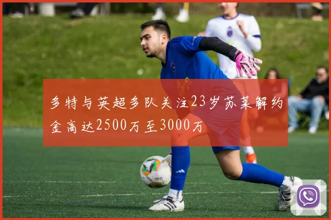 多特与英超多队关注23岁苏莱解约金高达2500万至3000万